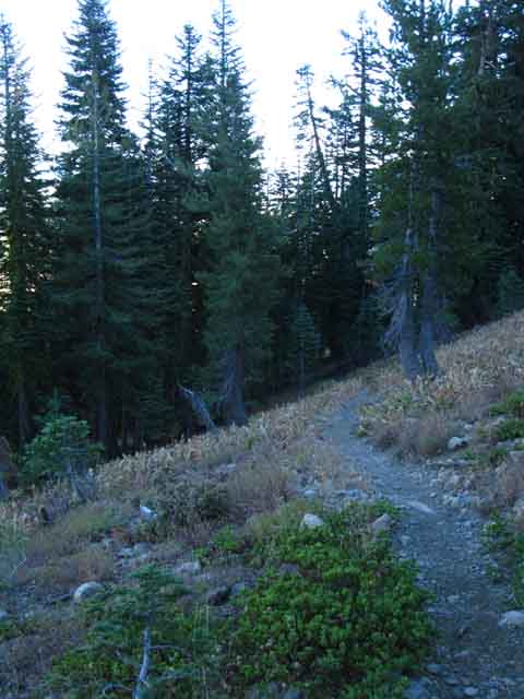 Backpacking Bee Gulch Trail to Lake Alpine.